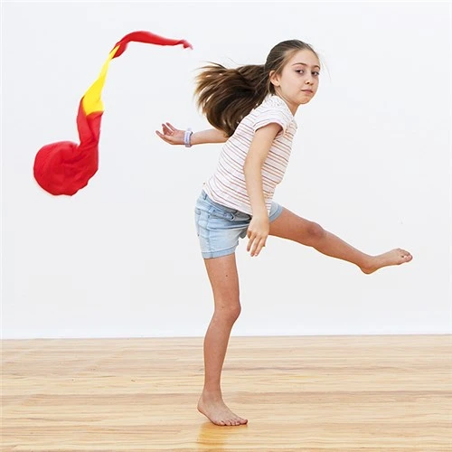 HART Sport HART Foxtail Ball Set 5 HART Sport HART Foxtail Ball Set - Image 3