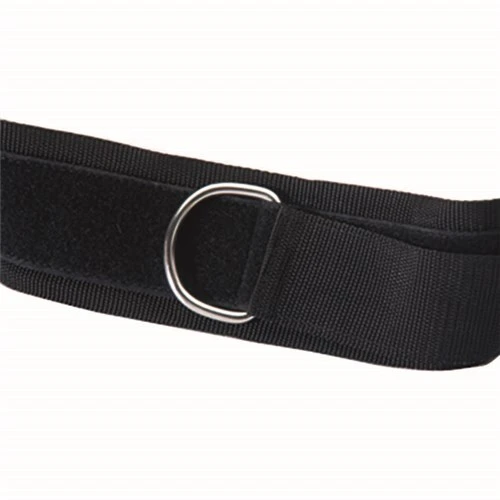 HART Sport HART Waist Belt 4 HART Sport HART Waist Belt - Image 2