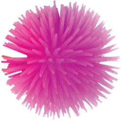 HART Sport HART Sea Anemone
