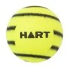 HART Sport HART Saturn Ring Ball 2 HART Sport HART Saturn Ring Ball -HART Sport Sales 33 246