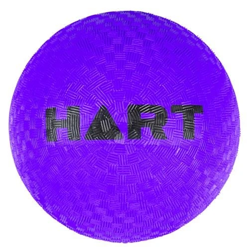 HART Sport HART Colour Playground Balls 4 HART Sport HART Colour Playground Balls - Image 2