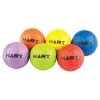 HART Sport HART Rainbow Mini Playball Set 2 HART Sport HART Rainbow Mini Playball Set -HART Sport Sales 33 547