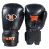 HART Sport HART Train Hard Boxing Gloves 2 HART Sport HART Train Hard Boxing Gloves -HART Sport Sales 6 805