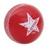 HART Sport HART Astro Cricket Ball 1 HART Sport HART Astro Cricket Ball -HART Sport Sales 7 136