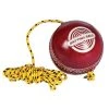 HART Sport HART Cricket Ball On String 2 HART Sport HART Cricket Ball On String -HART Sport Sales 7 152