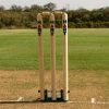 HART Sport HART Spring Back Stumps Wooden 1 HART Sport HART Spring Back Stumps Wooden -HART Sport Sales 7 697